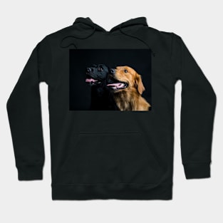 Retrievers Hoodie